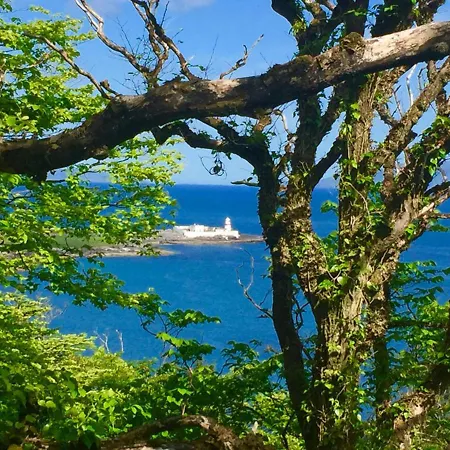 No.21 Sandpiper's Nest